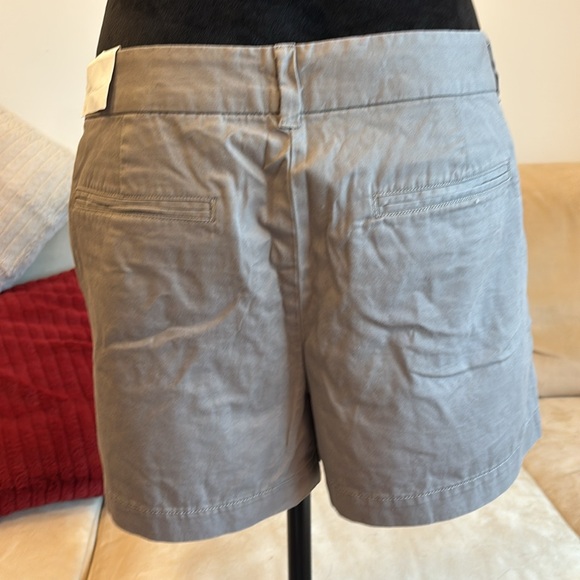 Loft: Brown Shorts - Picture 8 of 8